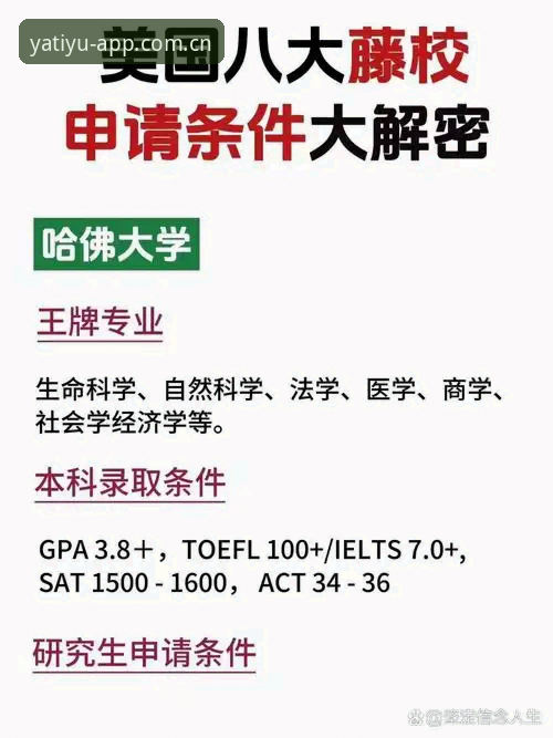 亚体育2024下载 亚体育2024下载完整指南 - 从新手到高手的全方位使用手册