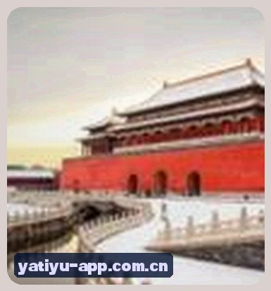 张总